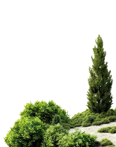 работы по благоустройству под ключ от проекта до реализации