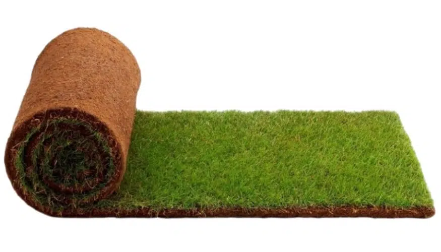 элитный рулонный газон купить с укладкой под ключ спб