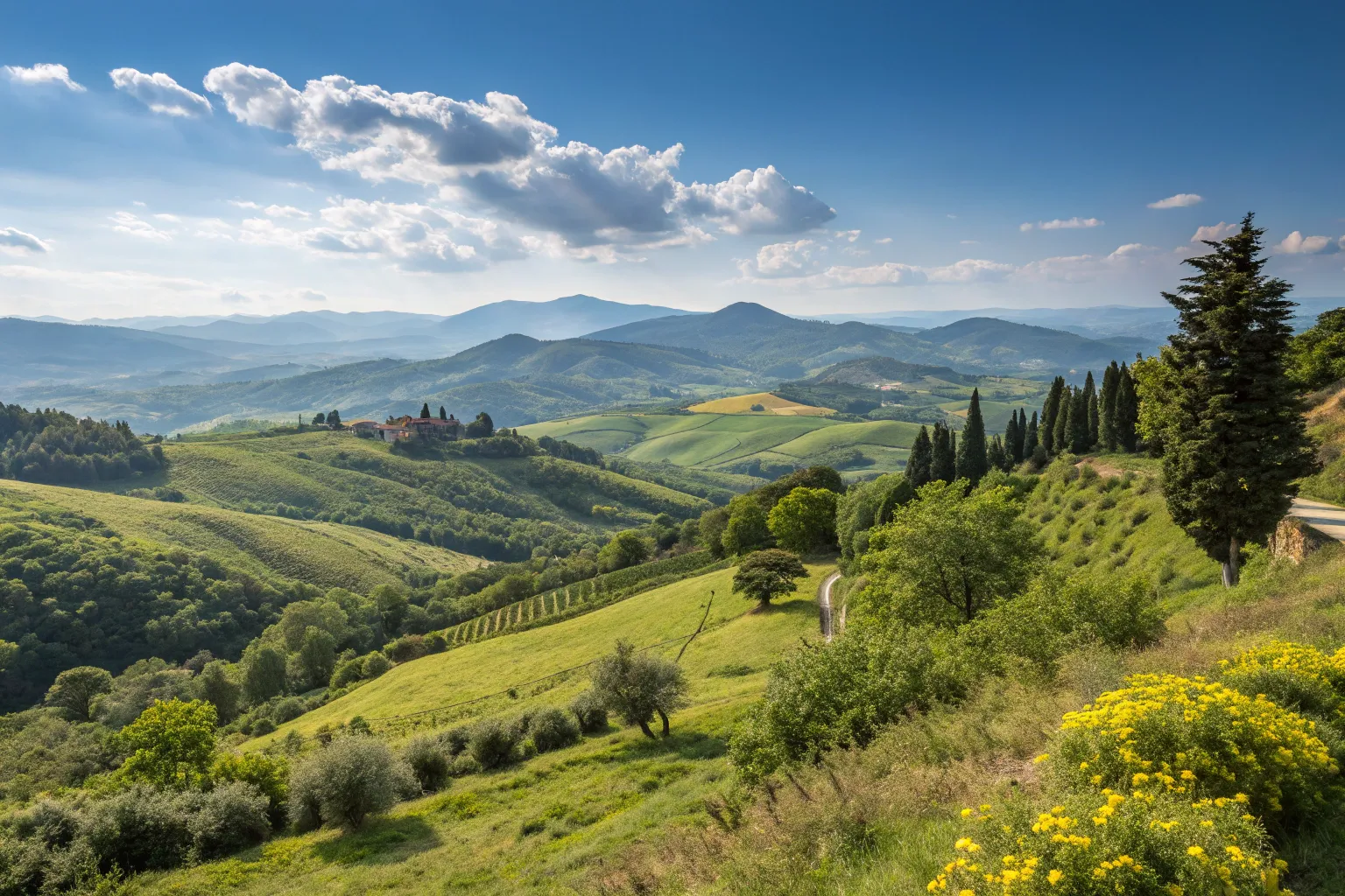 Ландшафтный дизайн