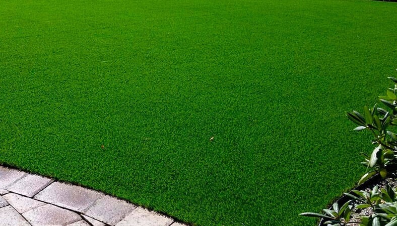 посевной газон партерный купить с устройством спб