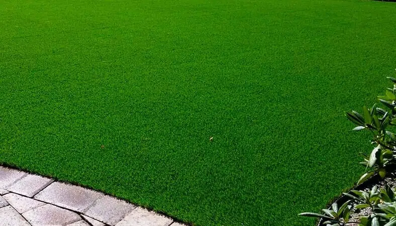 посевной газон партерный купить с устройством спб