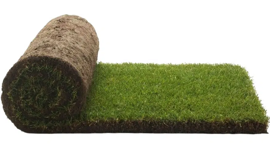 универсальный рулонный газон купить с укладкой под ключ спб