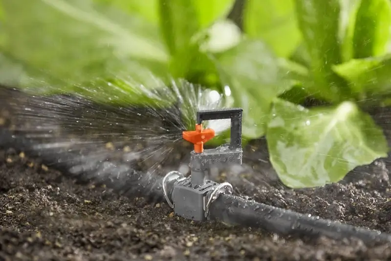 купить капельный автополив для огорода с установкой спб цена