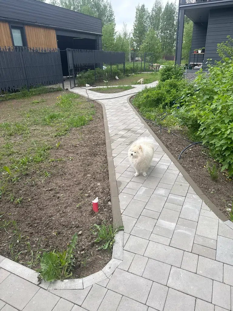 Ольга Ф.